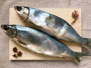 Шашлычок из сома холодного копчения: Сиг вяленый